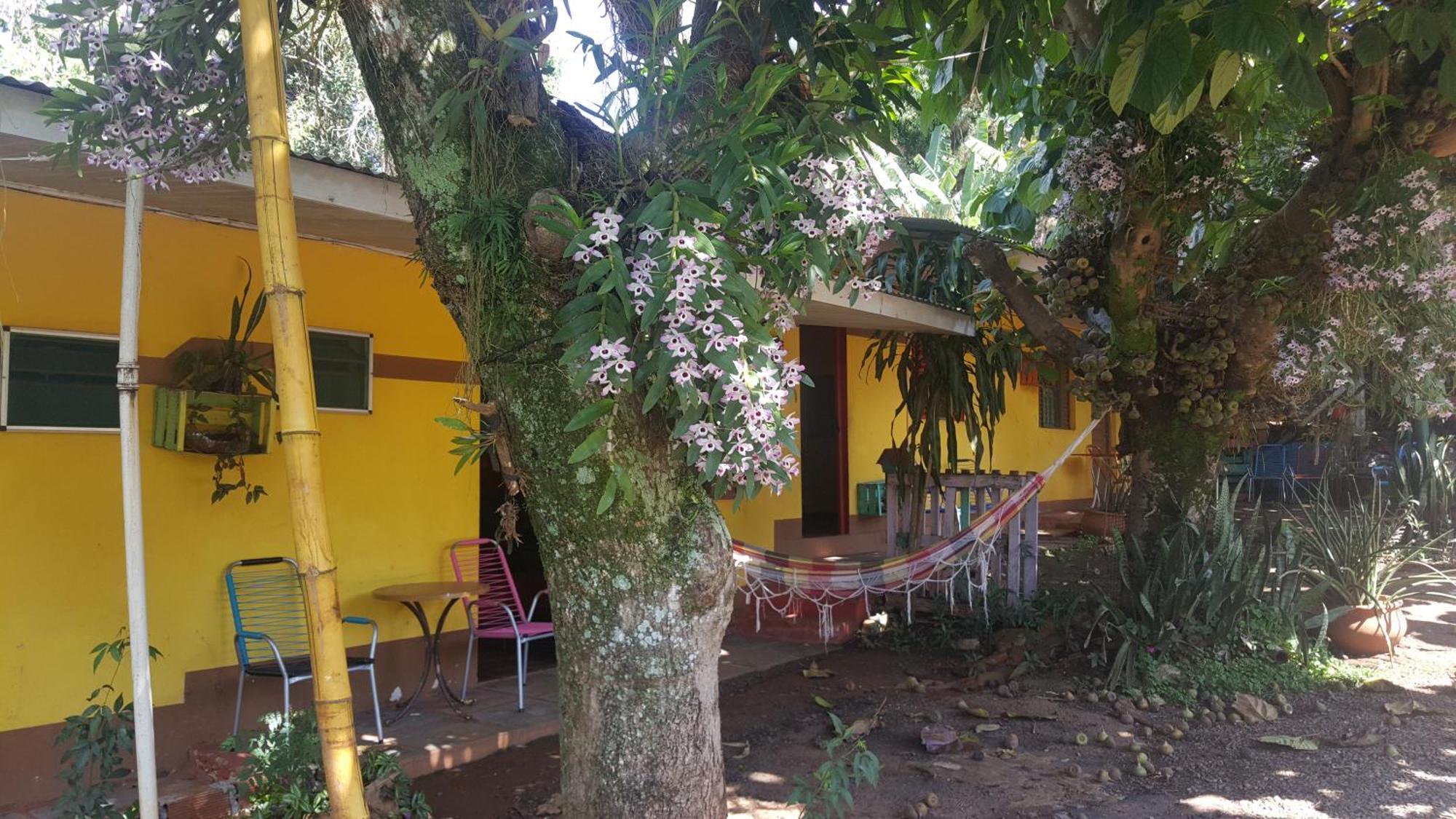 Hotel Y Residencial Amigos ปูแอร์โตอีกวาซู ภายนอก รูปภาพ