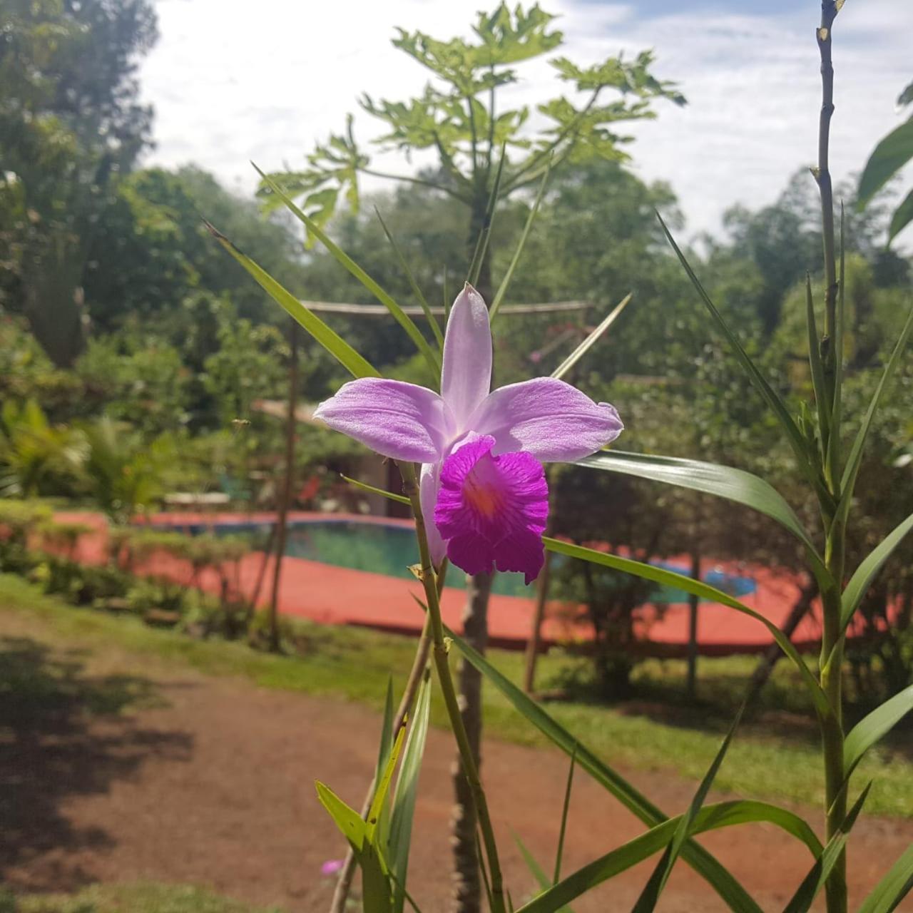 Hotel Y Residencial Amigos ปูแอร์โตอีกวาซู ภายนอก รูปภาพ
